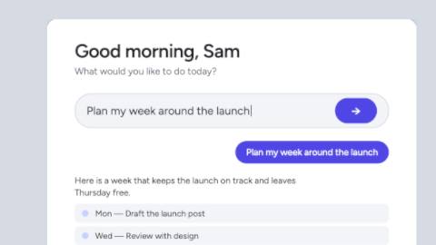 App launch (your UI)